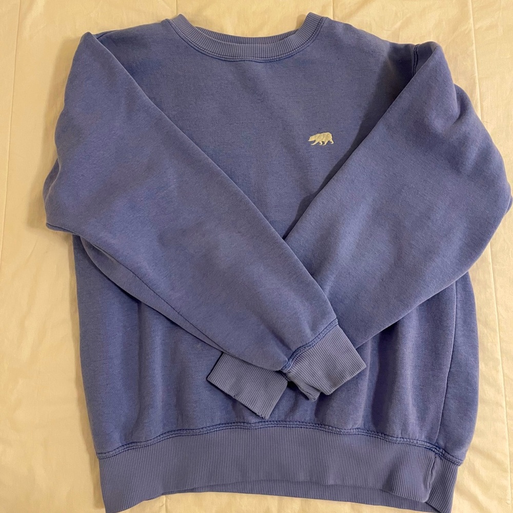 Blue brandy Melville sweatshirt